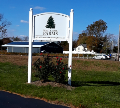 Entrance to White Dog Christmas Tree Farm located in Hammonton, NJ.